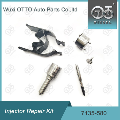 7135-580 Kit de réparation de l'injecteur Delphi pour l'injecteur R00001D