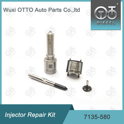 7135-580 Kit de réparation de l'injecteur Delphi pour l'injecteur R00001D