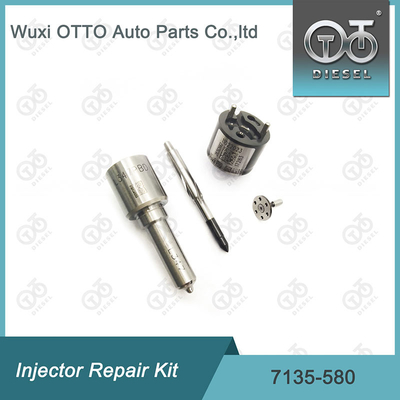 7135-580 Kit de réparation de l'injecteur Delphi pour l'injecteur R00001D
